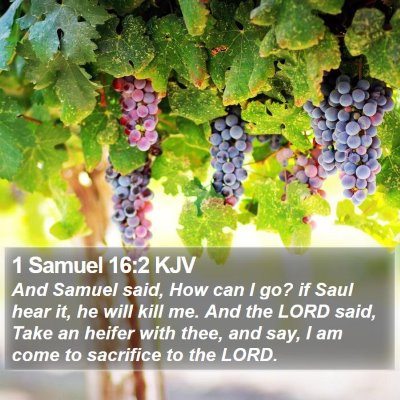 1 Samuel 16:2 KJV Bible Verse Image