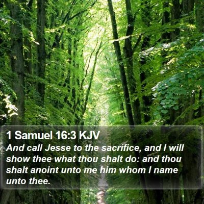 1 Samuel 16:3 KJV Bible Verse Image