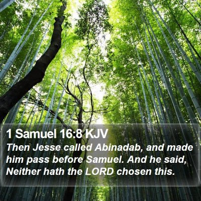 1 Samuel 16:8 KJV Bible Verse Image
