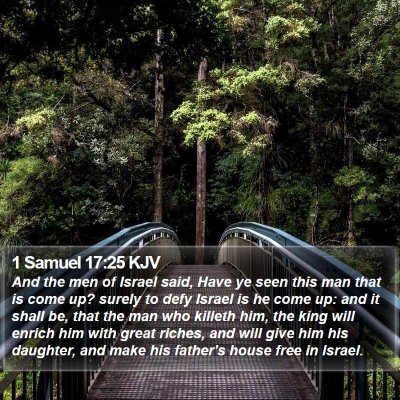 1 Samuel 17:25 KJV Bible Verse Image