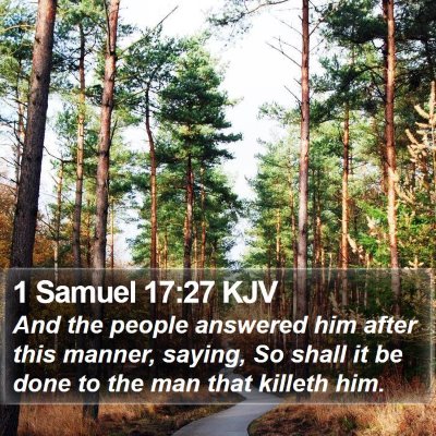 1 Samuel 17:27 KJV Bible Verse Image