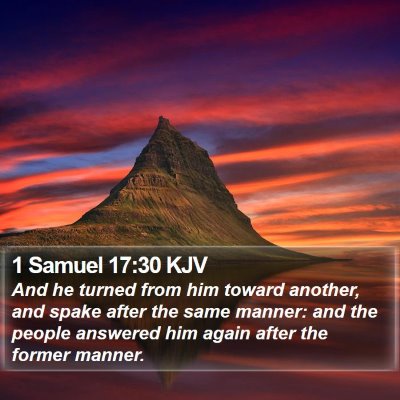 1 Samuel 17:30 KJV Bible Verse Image