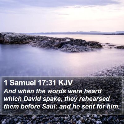 1 Samuel 17:31 KJV Bible Verse Image