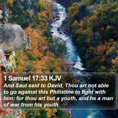 1 Samuel 17:33 KJV Bible Verse Image