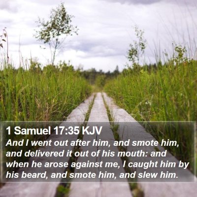 1 Samuel 17:35 KJV Bible Verse Image