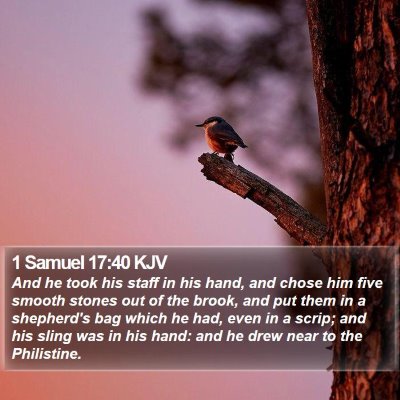 1 Samuel 17:40 KJV Bible Verse Image