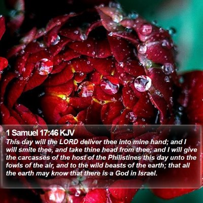 1 Samuel 17:46 KJV Bible Verse Image