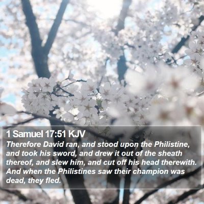 1 Samuel 17:51 KJV Bible Verse Image