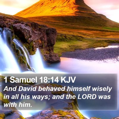 1 Samuel 18:14 KJV Bible Verse Image
