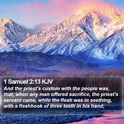 1 Samuel 2:13 KJV Bible Verse Image