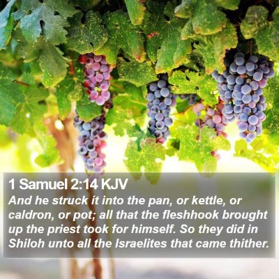 1 Samuel 2:14 KJV Bible Verse Image