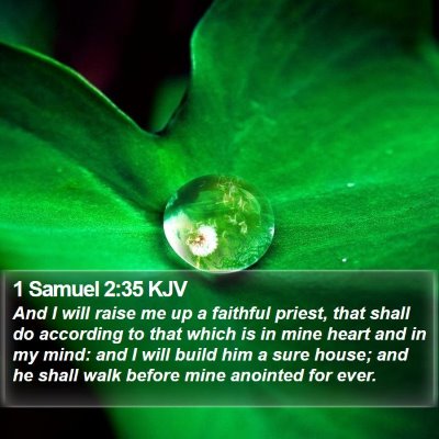 1 Samuel 2:35 KJV Bible Verse Image