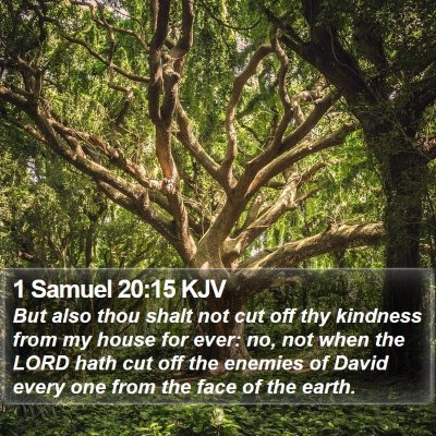 1 Samuel 20:15 KJV Bible Verse Image