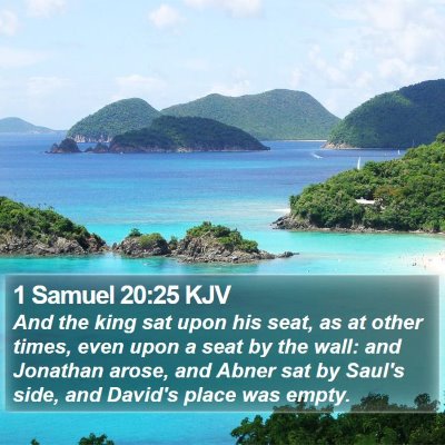 1 Samuel 20:25 KJV Bible Verse Image