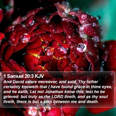 1 Samuel 20:3 KJV Bible Verse Image