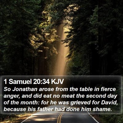1 Samuel 20:34 KJV Bible Verse Image