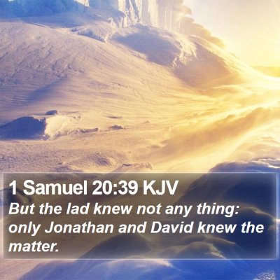 1 Samuel 20:39 KJV Bible Verse Image