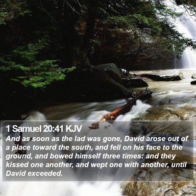 1 Samuel 20:41 KJV Bible Verse Image