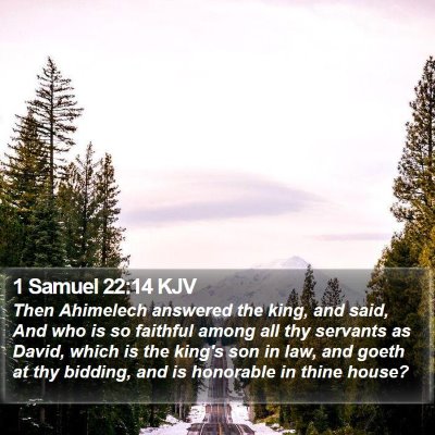 1 Samuel 22:14 KJV Bible Verse Image