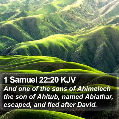 1 Samuel 22:20 KJV Bible Verse Image