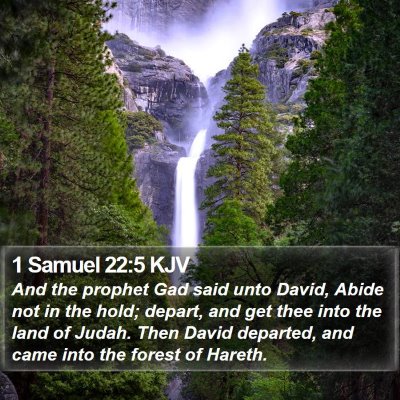 1 Samuel 22:5 KJV Bible Verse Image