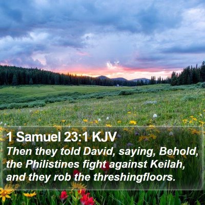 1 Samuel 23:1 KJV Bible Verse Image