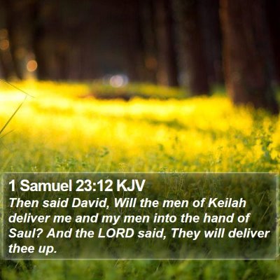 1 Samuel 23:12 KJV Bible Verse Image