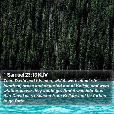 1 Samuel 23:13 KJV Bible Verse Image