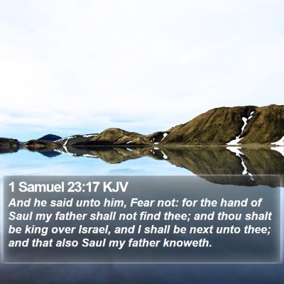 1 Samuel 23:17 KJV Bible Verse Image