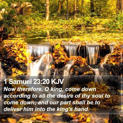 1 Samuel 23:20 KJV Bible Verse Image