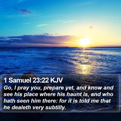 1 Samuel 23:22 KJV Bible Verse Image