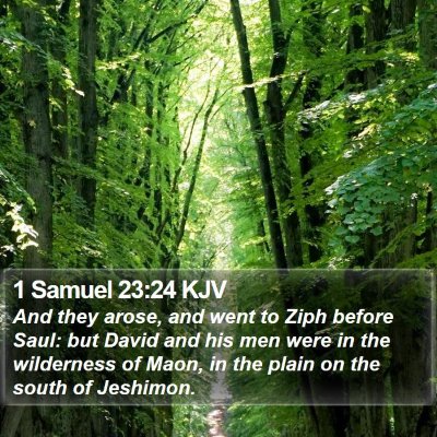 1 Samuel 23:24 KJV Bible Verse Image
