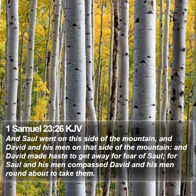 1 Samuel 23:26 KJV Bible Verse Image