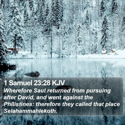 1 Samuel 23:28 KJV Bible Verse Image