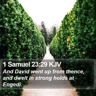 1 Samuel 23:29 KJV Bible Verse Image