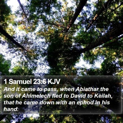 1 Samuel 23:6 KJV Bible Verse Image