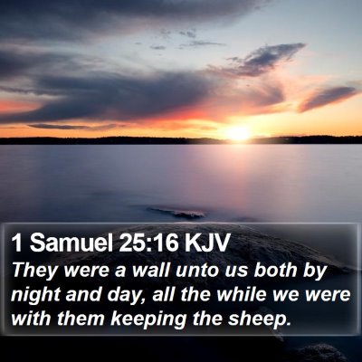 1 Samuel 25:16 KJV Bible Verse Image