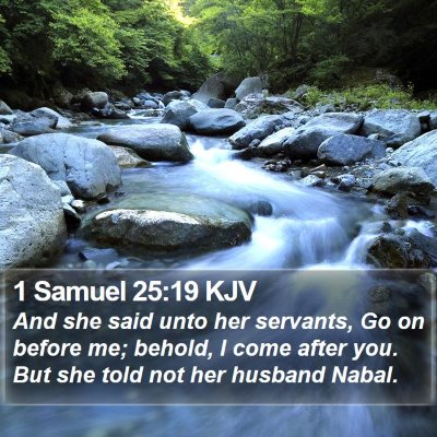 1 Samuel 25:19 KJV Bible Verse Image