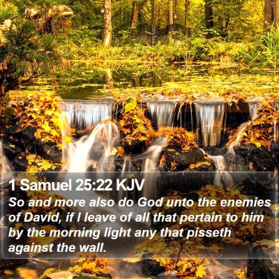 1 Samuel 25:22 KJV Bible Verse Image