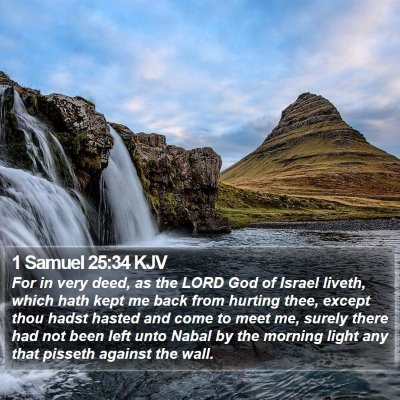 1 Samuel 25:34 KJV Bible Verse Image