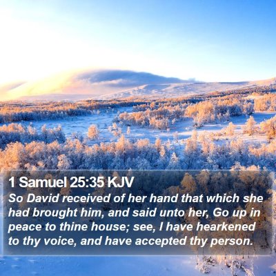 1 Samuel 25:35 KJV Bible Verse Image
