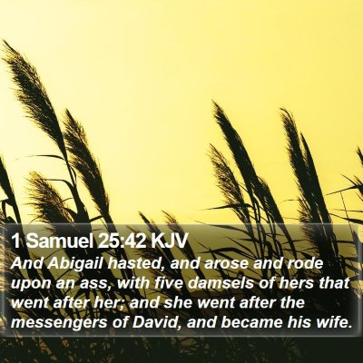 1 Samuel 25:42 KJV Bible Verse Image