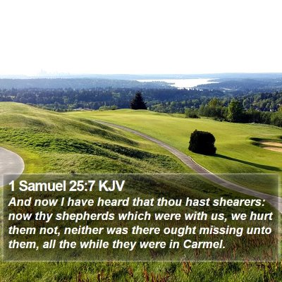 1 Samuel 25:7 KJV Bible Verse Image