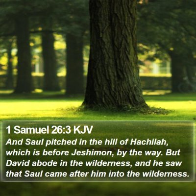 1 Samuel 26:3 KJV Bible Verse Image