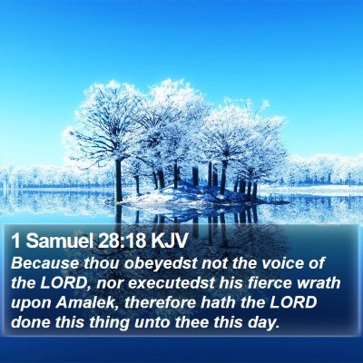 1 Samuel 28:18 KJV Bible Verse Image