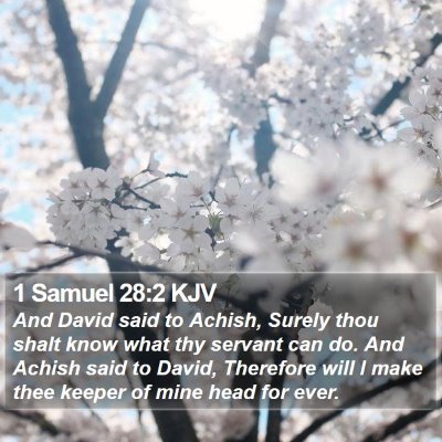 1 Samuel 28:2 KJV Bible Verse Image
