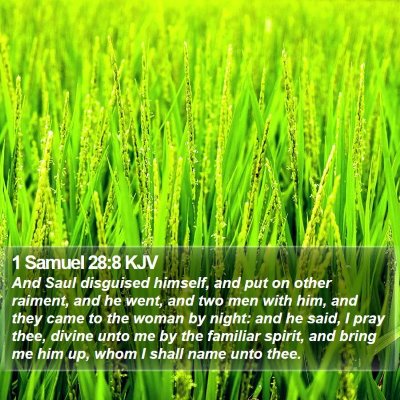 1 Samuel 28:8 KJV Bible Verse Image