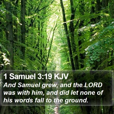 1 Samuel 3:19 KJV Bible Verse Image