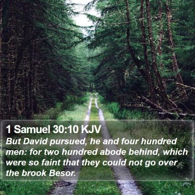 1 Samuel 30:10 KJV Bible Verse Image