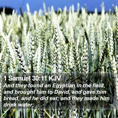 1 Samuel 30:11 KJV Bible Verse Image